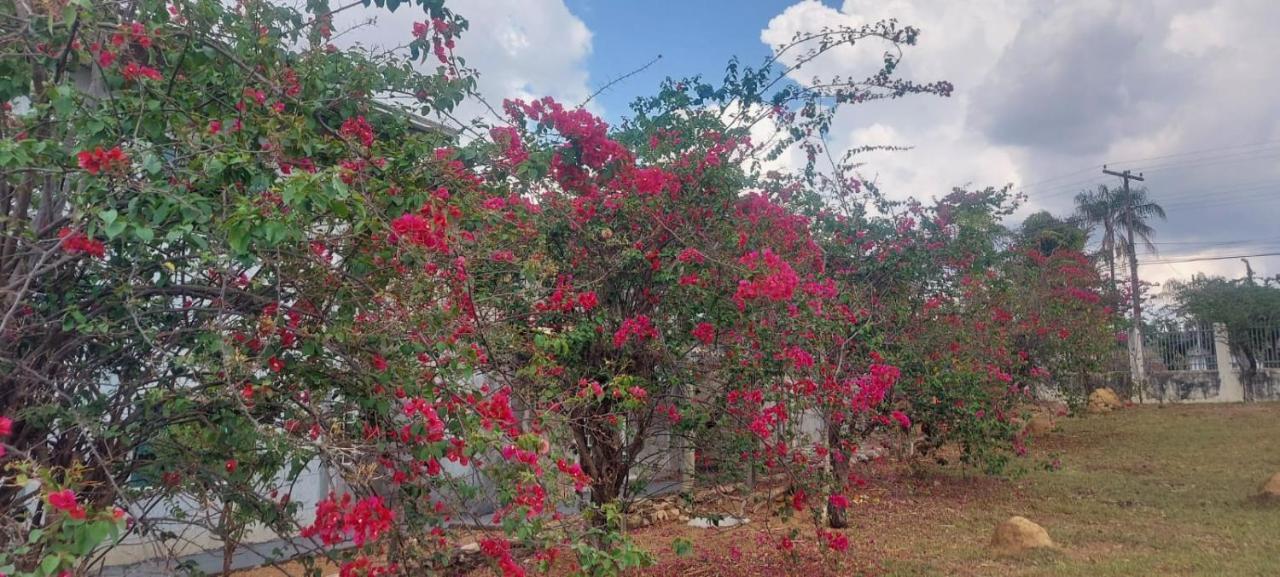 Villa De Assis Suites Alto Paraiso de Goias Luaran gambar